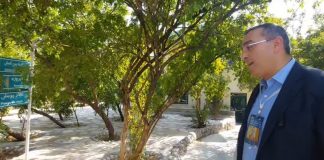 جایزه بین المللی مصطفی | گفتگو با پروفسور امید فرخزاد جایزه بین المللی مصطفی | گفتگو با پروفسور امید فرخزاد