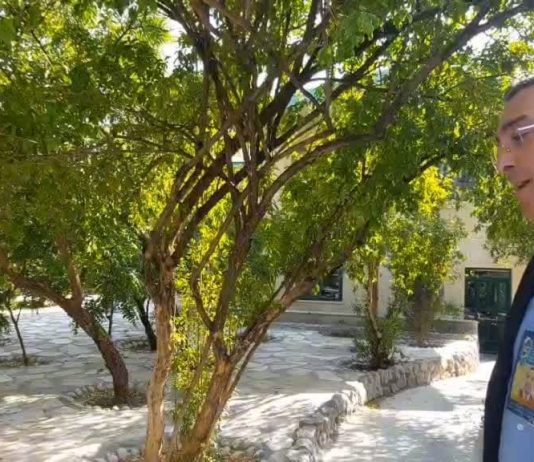 جایزه بین المللی مصطفی | گفتگو با پروفسور امید فرخزاد جایزه بین المللی مصطفی | گفتگو با پروفسور امید فرخزاد