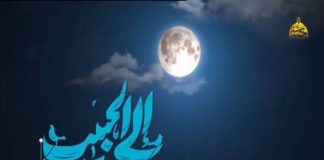 نیمه شعبان 1401 | ارتباط زنده ای که صدایش زمینی و تصویرش بهشتی بود ارتباط زنده ای که صدایش زمینی و تصویرش بهشتی بود