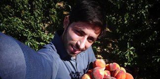 پشت صحنه ضبط گزارش و مستندهای تولیدی هلوی زعفرانی